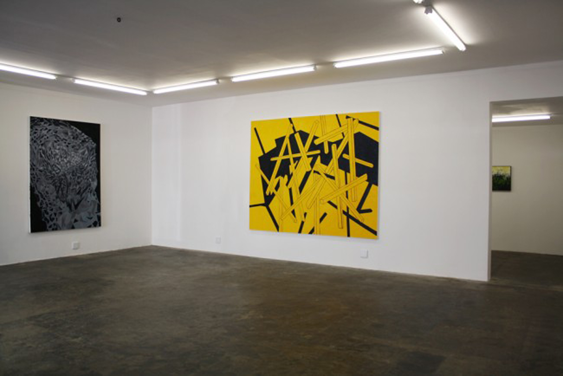 Jan-Henri Booyens, Strange Days (2012) | Installation view at blank projects, Cape Town