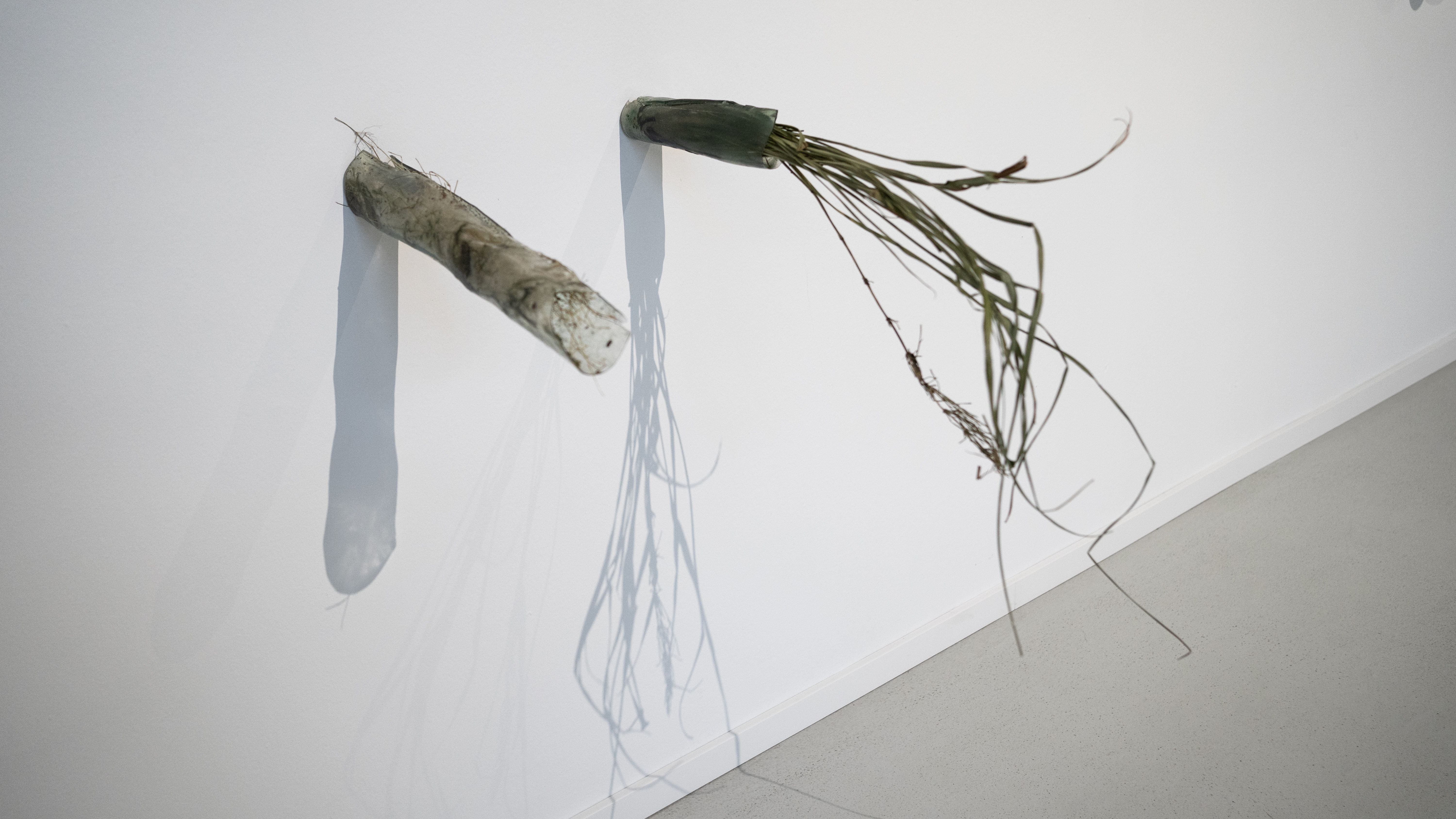 Irati Inoriza, Artist, Aflorar Hundida, Centro Párraga (Murcia, 2025)