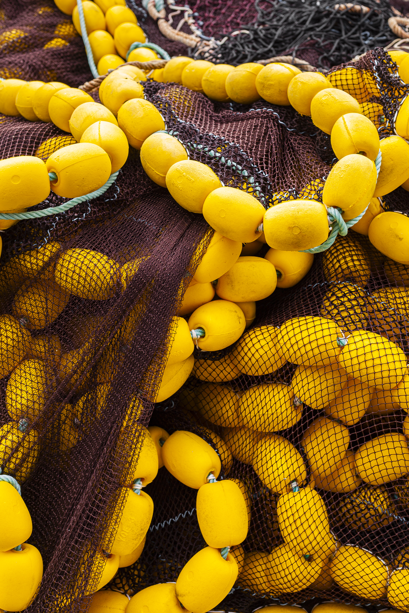 Photo for Atlantic Futures