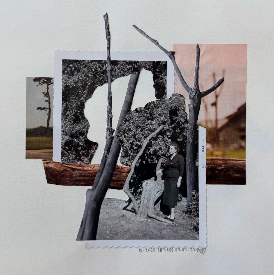 pgycats_cut_and_paste