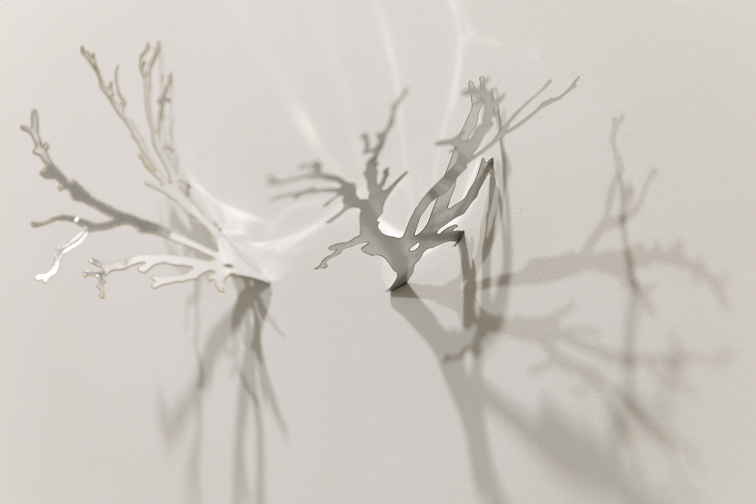 FLUSH (Detail)