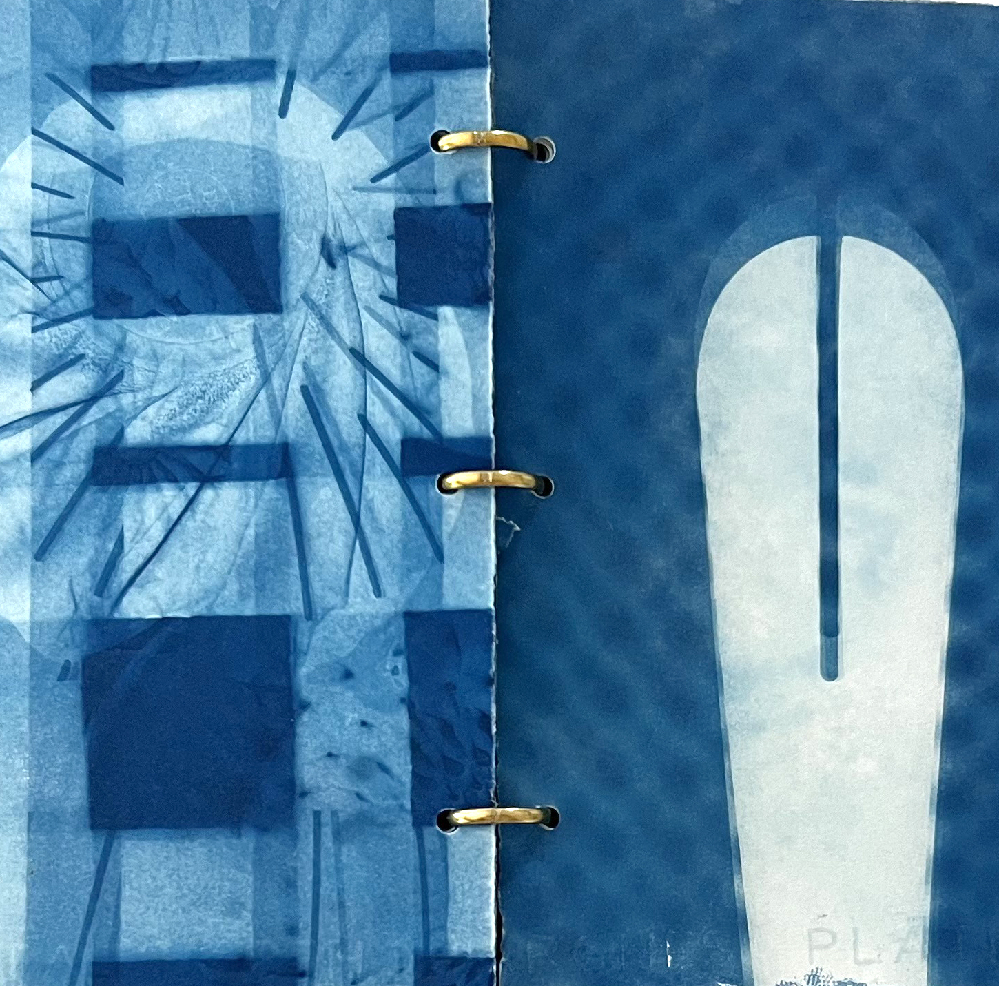 Cyanotype Livre I