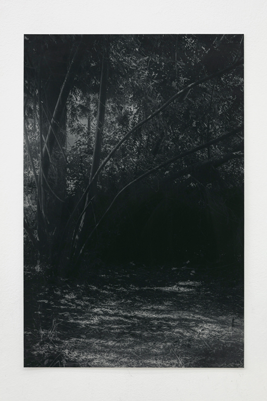 Hide out, 2017, archival pigment print, 60x40 cm