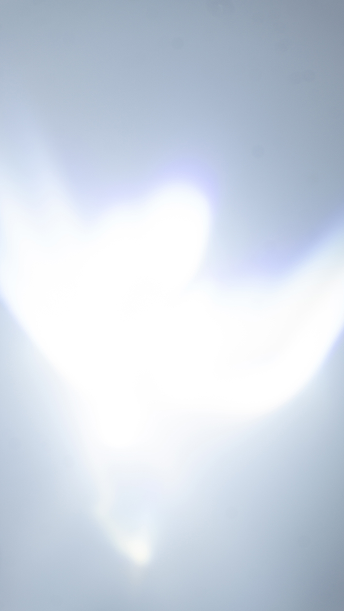 Encendimos una luz que no supimos apagar