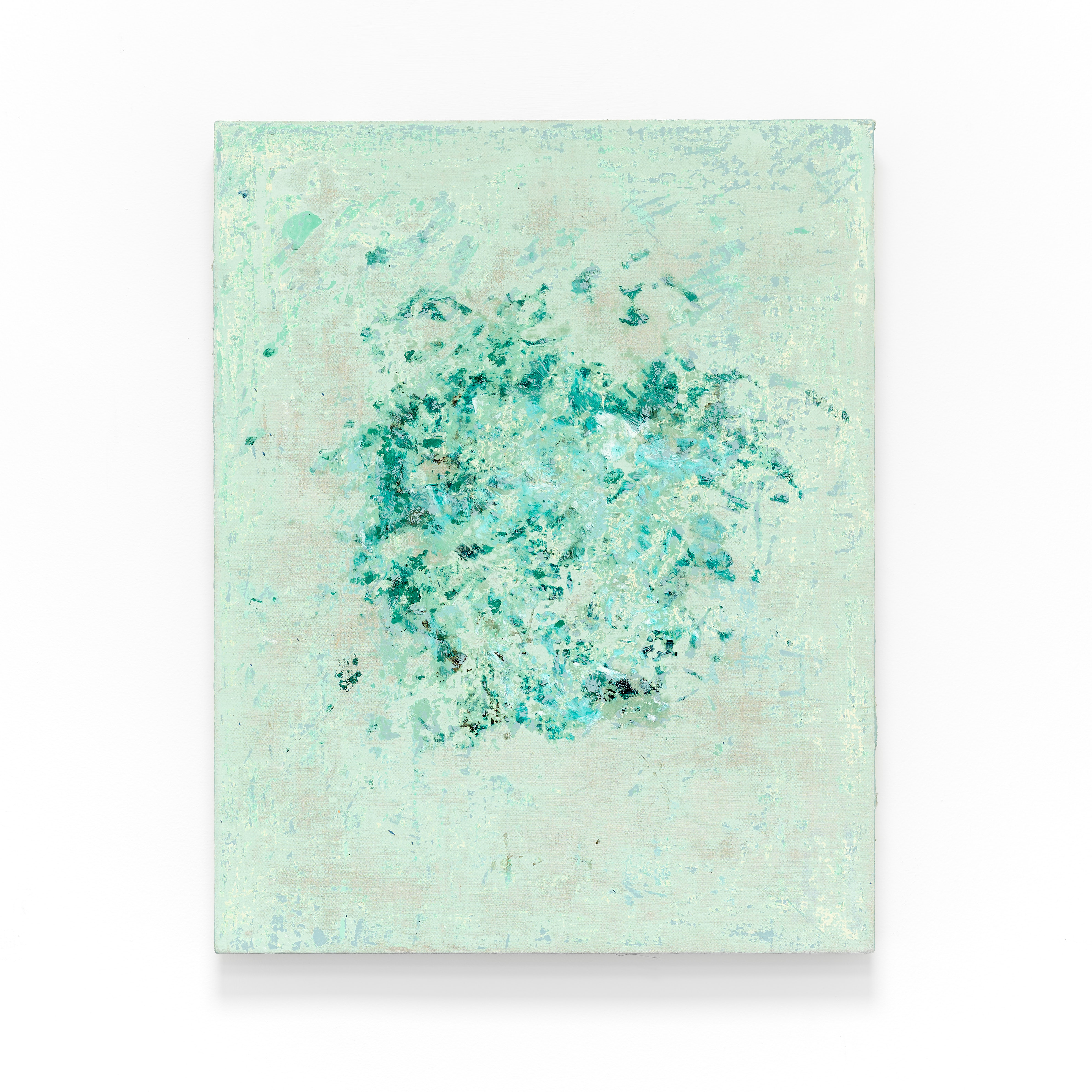 Provisional Record, 61 x 48 cm