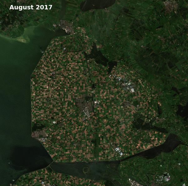 An animation showing the differences in colour of vegetation in the Emmeloord region of the Netherlands between August 2017 and August 2018. Images taken with the Copernicus Sentinel-2 satellites.