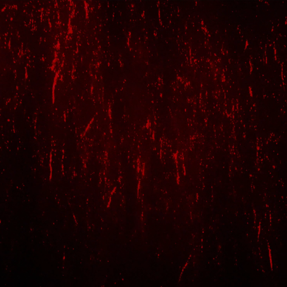 Eviscerations (2017), Directed by Scott Barley