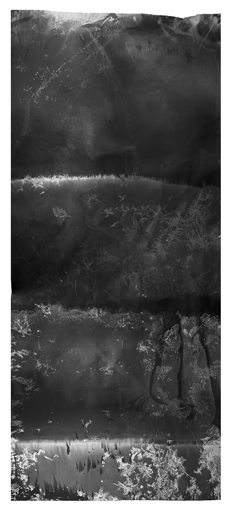 Flashed Waterfall, 2017, 8.66 feet x 3.5 feet, Silver Gelatin Print