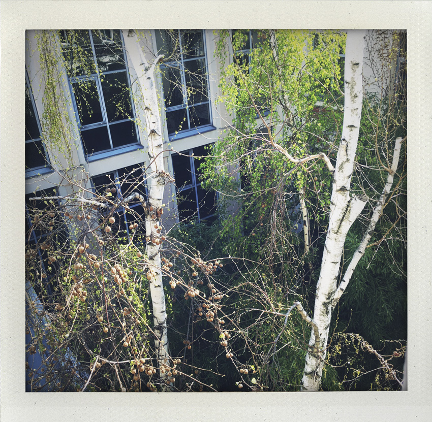 4 Avil 2020 Cloisonnement