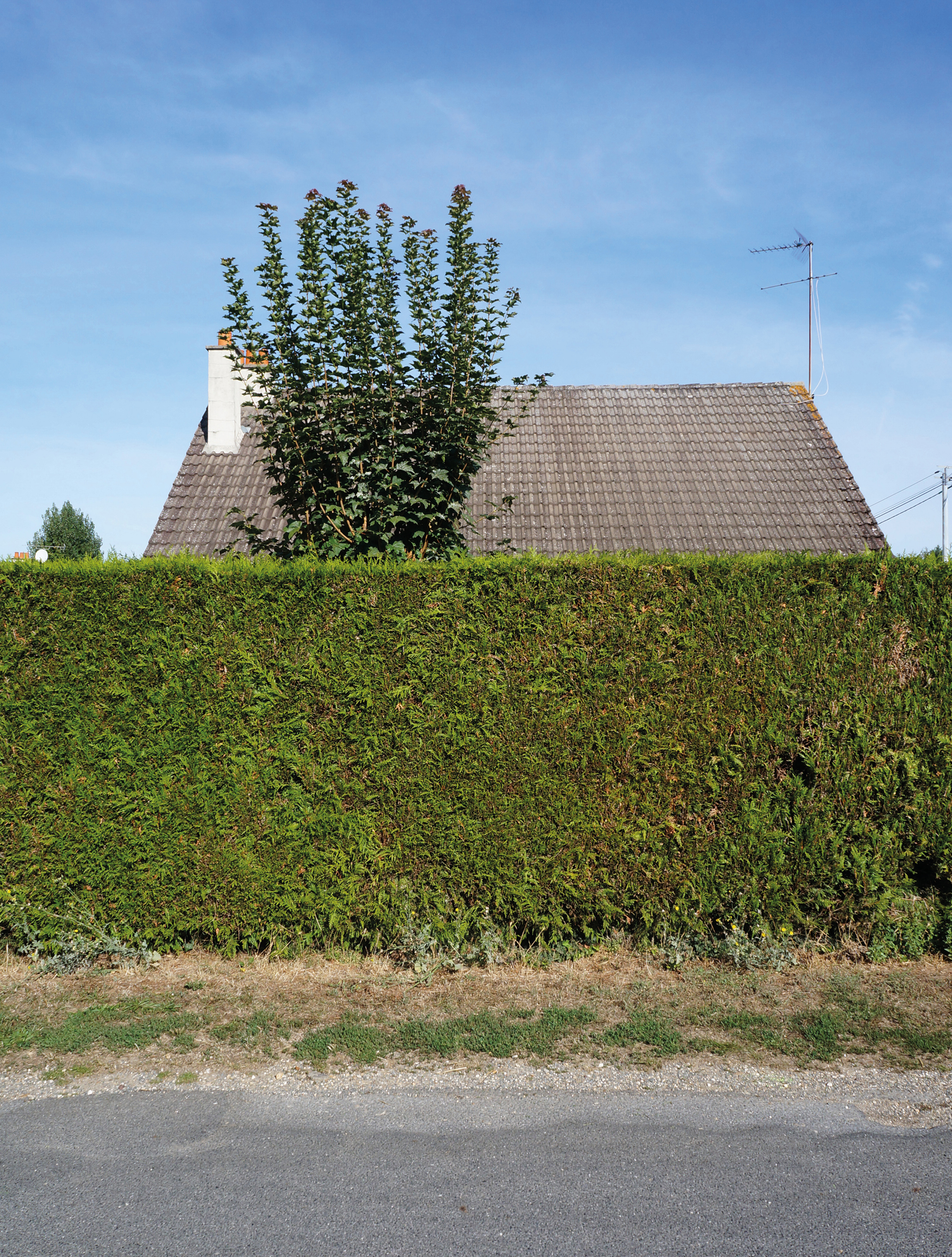 15 logements sociaux, Trilport (77), site de projet
