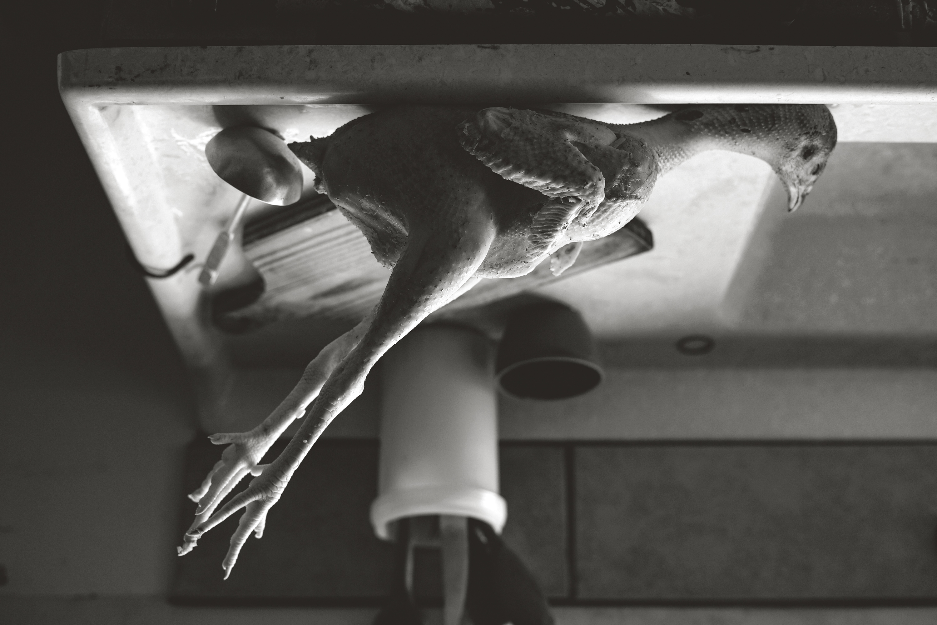 Cozinha—Muzambinho, Minas Gerais, Brasil