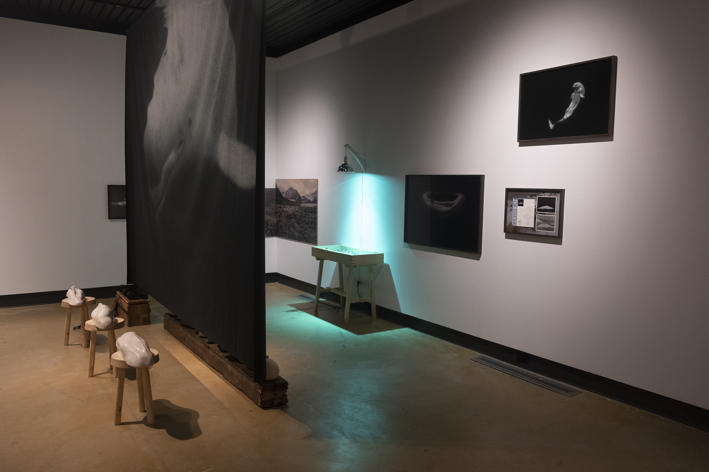 Dans l'œil du béluga, Galerie d’art Louise-et-Reuben-Cohen de l'Université de Moncton, 2025