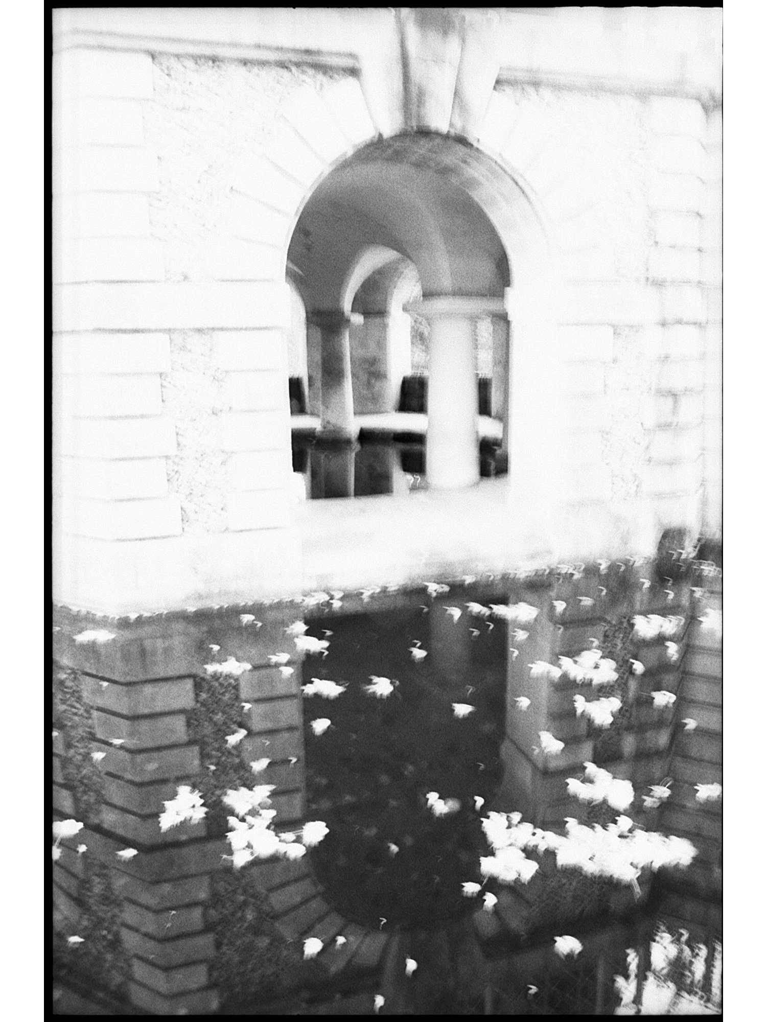 Twenty Love Poems & a Song of Despair - Pablo Neruda