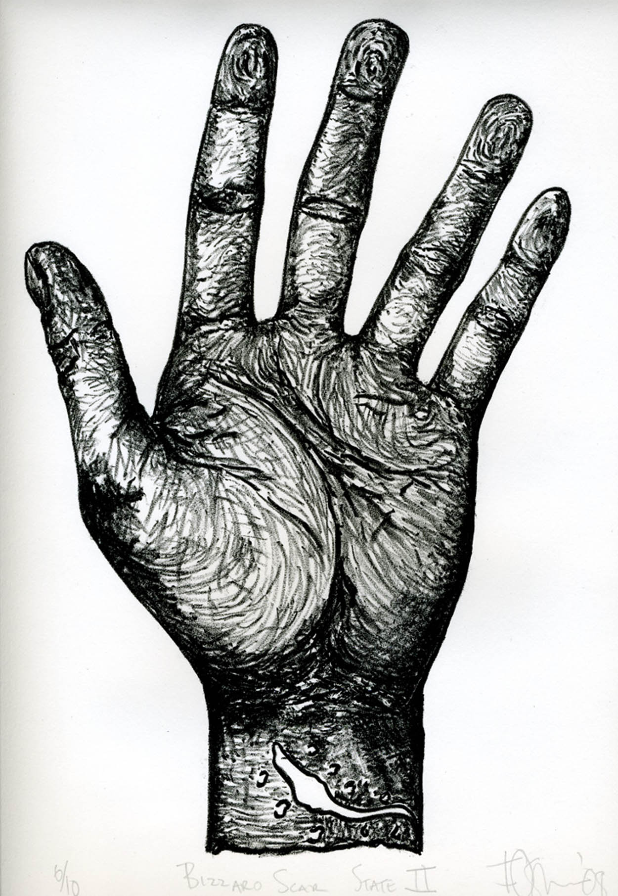 "Bizzaro Scar State II" 2009; 1 Color Lithograph, Edition of 10