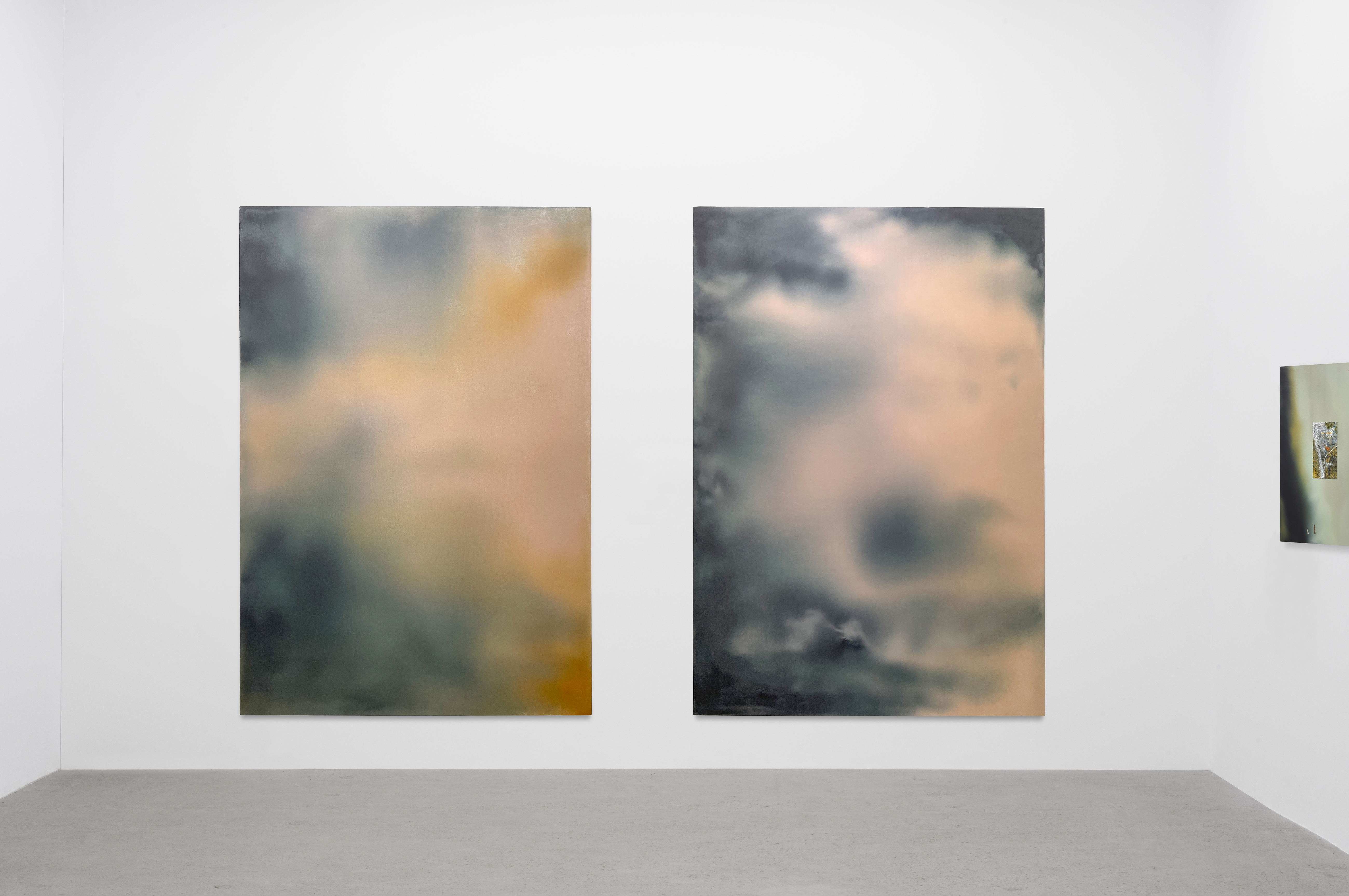 UNTITLEDOil and acrylic on nylon, 200x140 cm, 2025 (each)