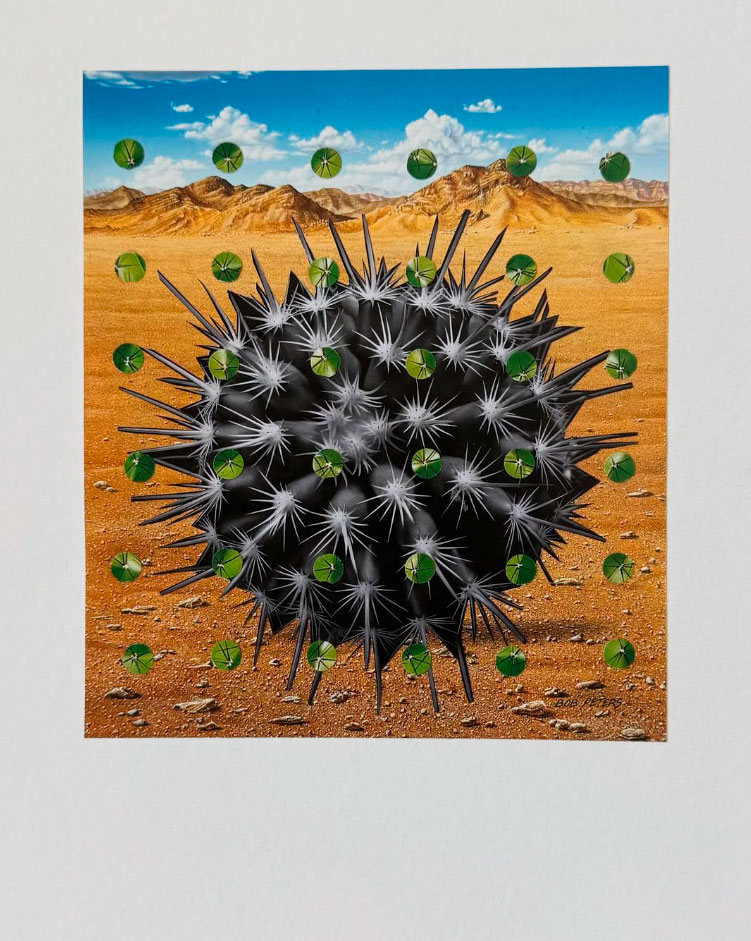  pgycats_cut_and_paste