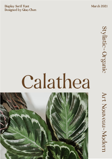 Typeface Design | Calathea