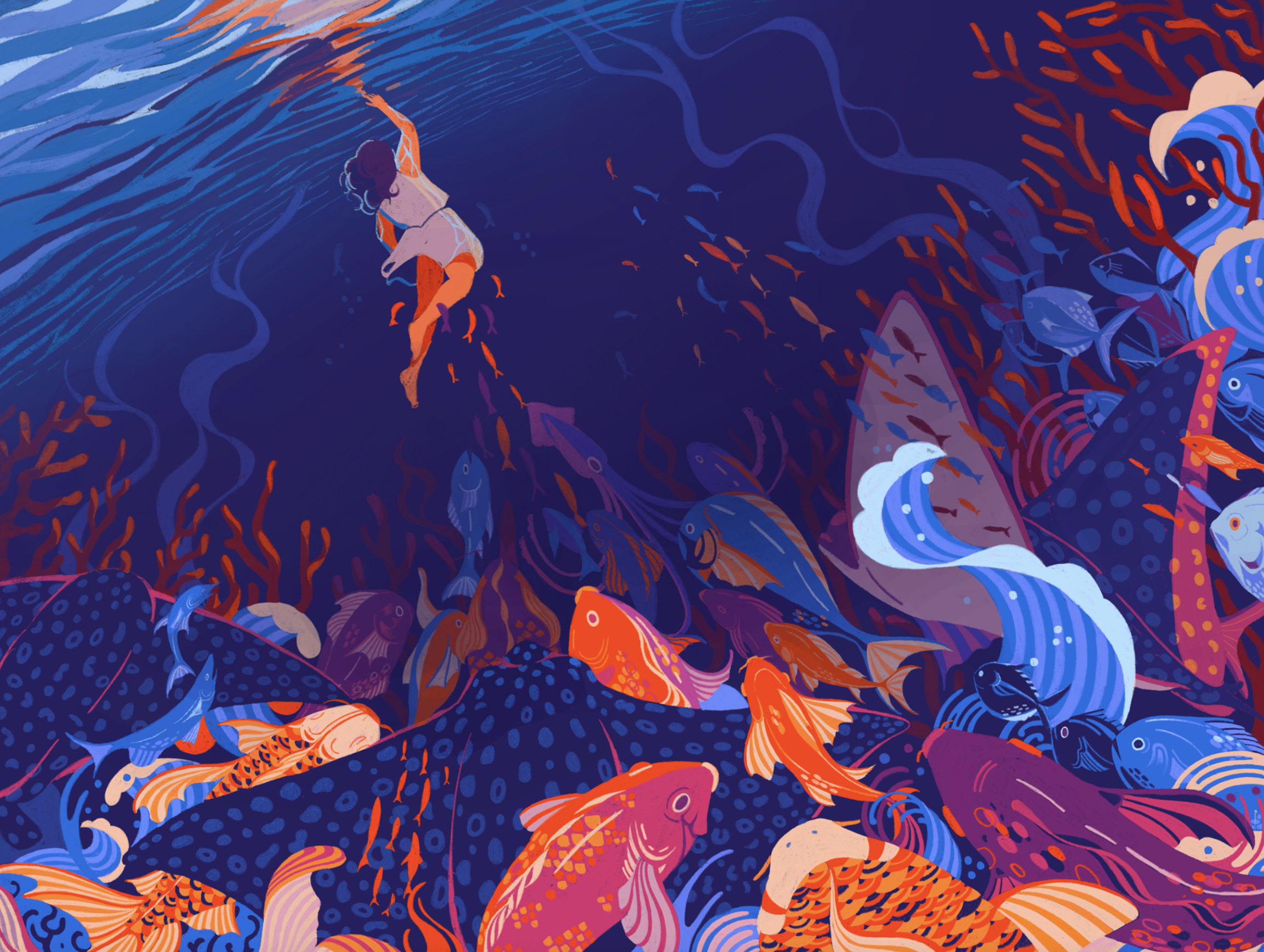 Deborah Lee — Procreate 5x Splash Screen / Procreate