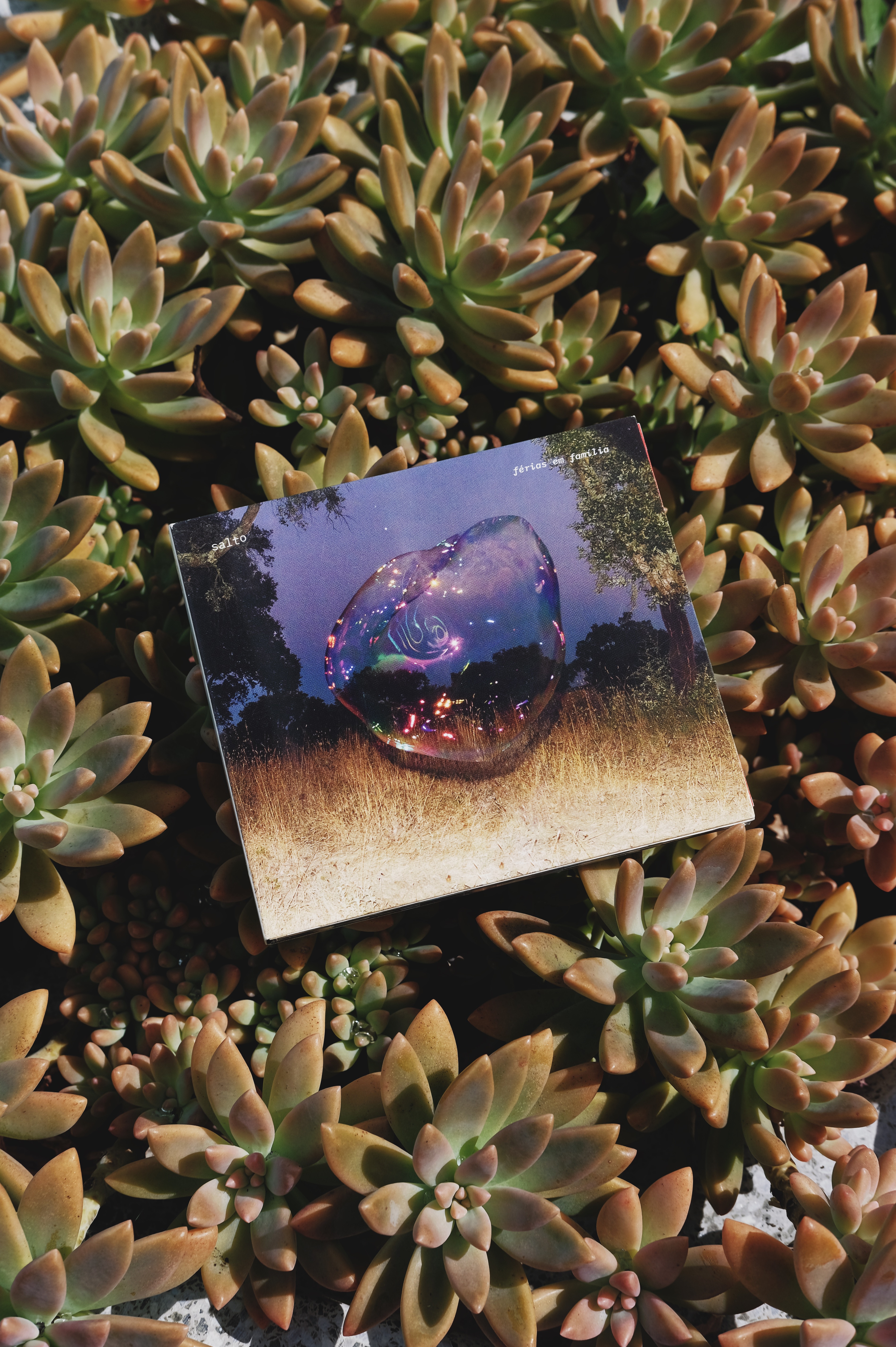 PH: JOS&Eacute; GUILHERME MARQUES