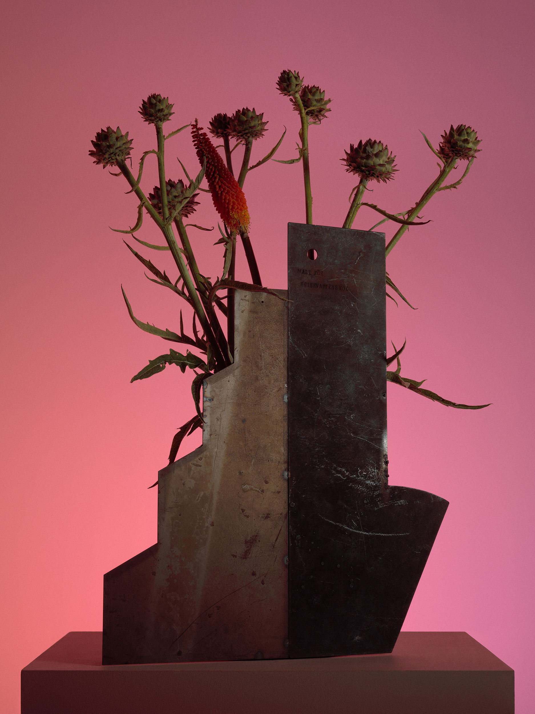 Jenny Nordberg — S.Y.L.A