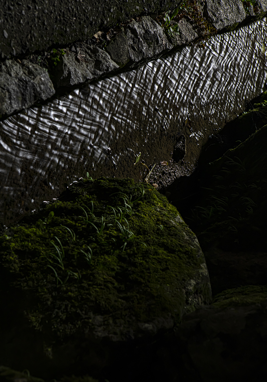 PHOTOGRAPHY RAF STUDIO  VILLA KUJOYAMA KYOTO ART CENTER SYNCHRONICITY EXHIBITION