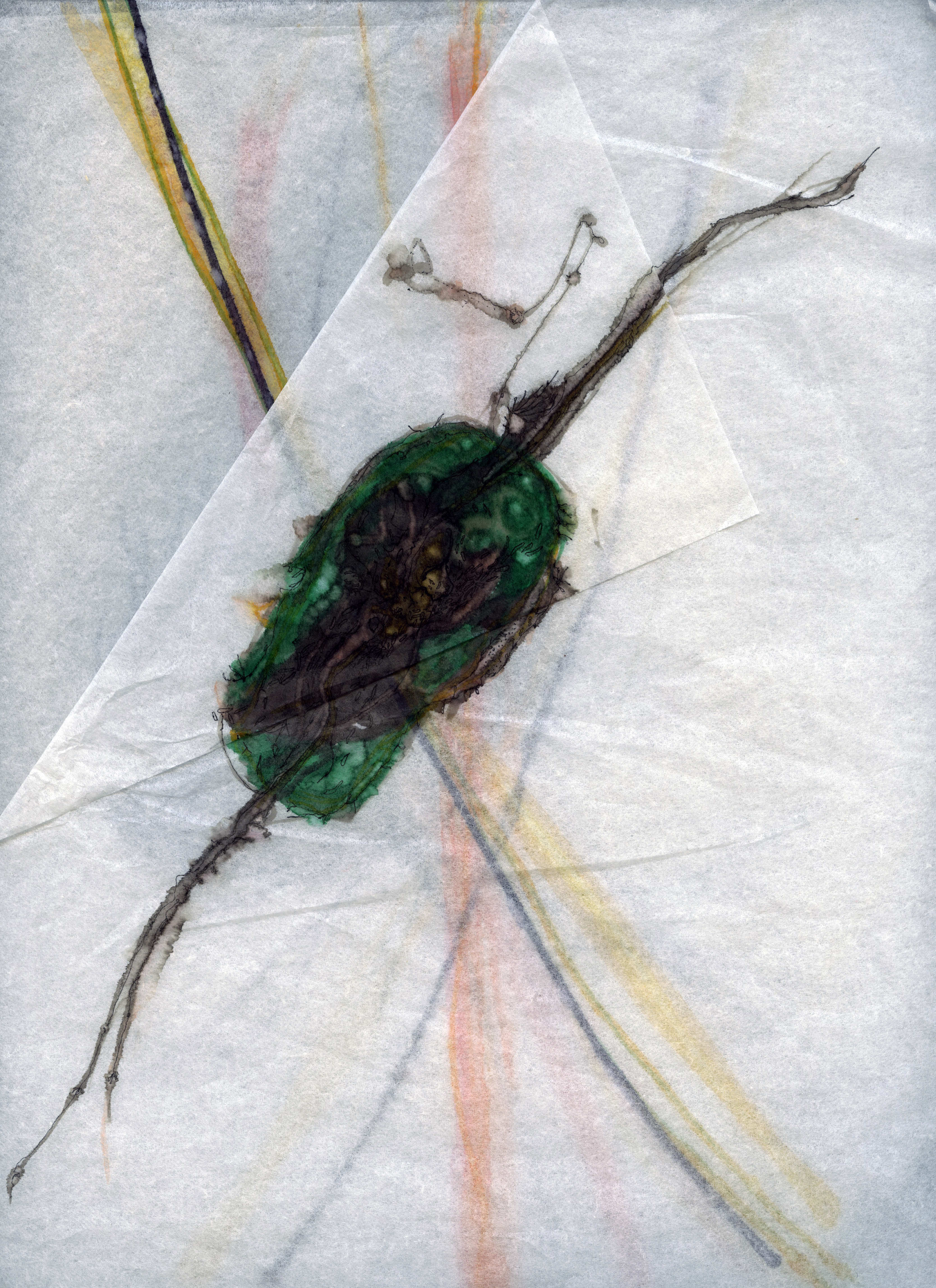 "Untitled Specimen Drawing Stack III", 8"x10", alcohol ink on silkspan tissue paper. 2019