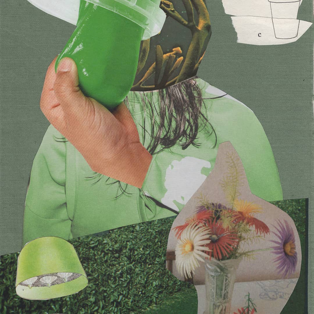Kosmo Nauty