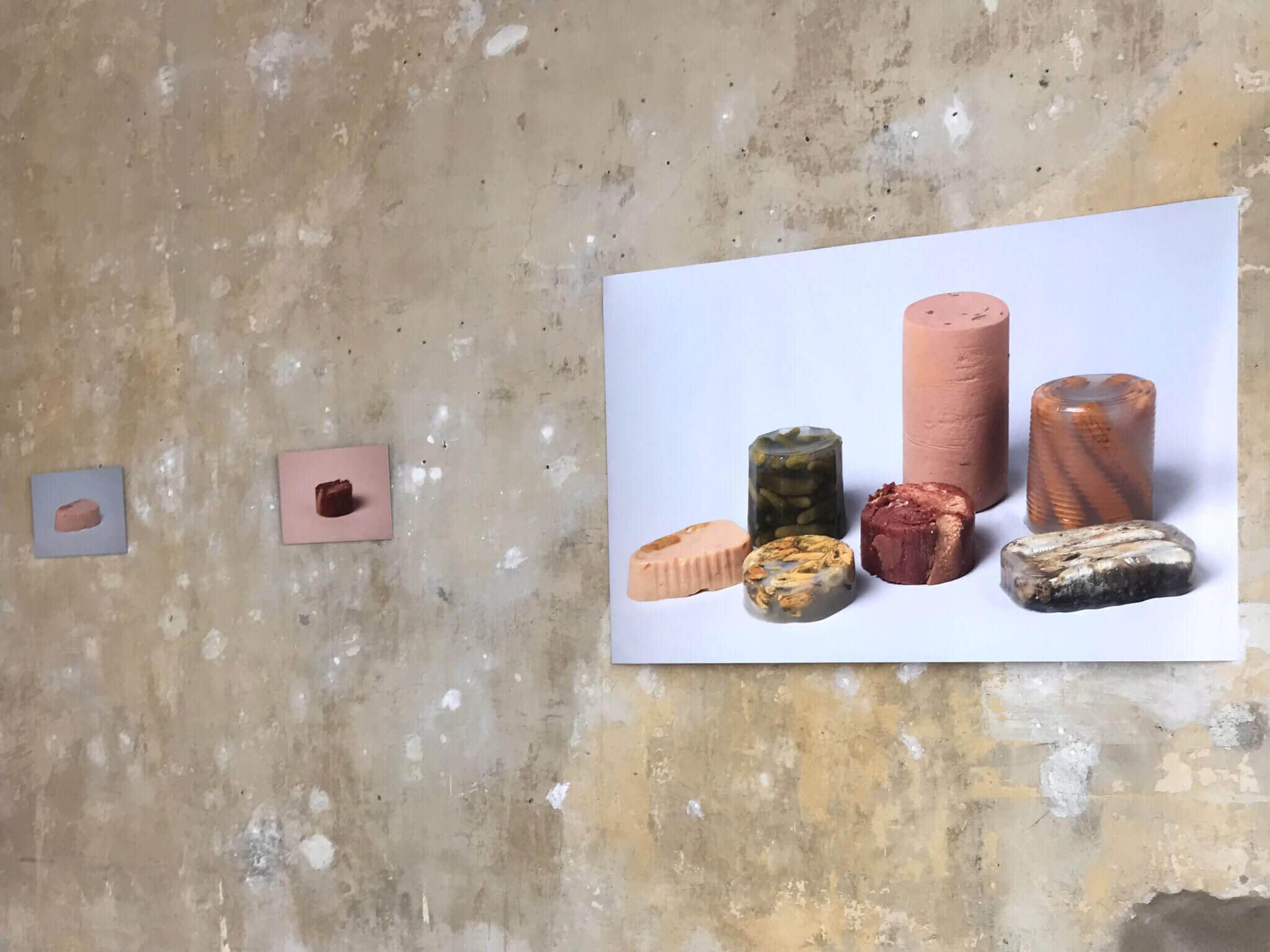 Honey Rules the World / Gallery Cube+