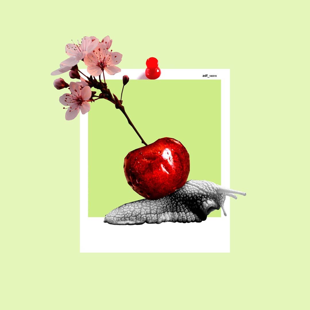 Agnes Diakite_Floucault