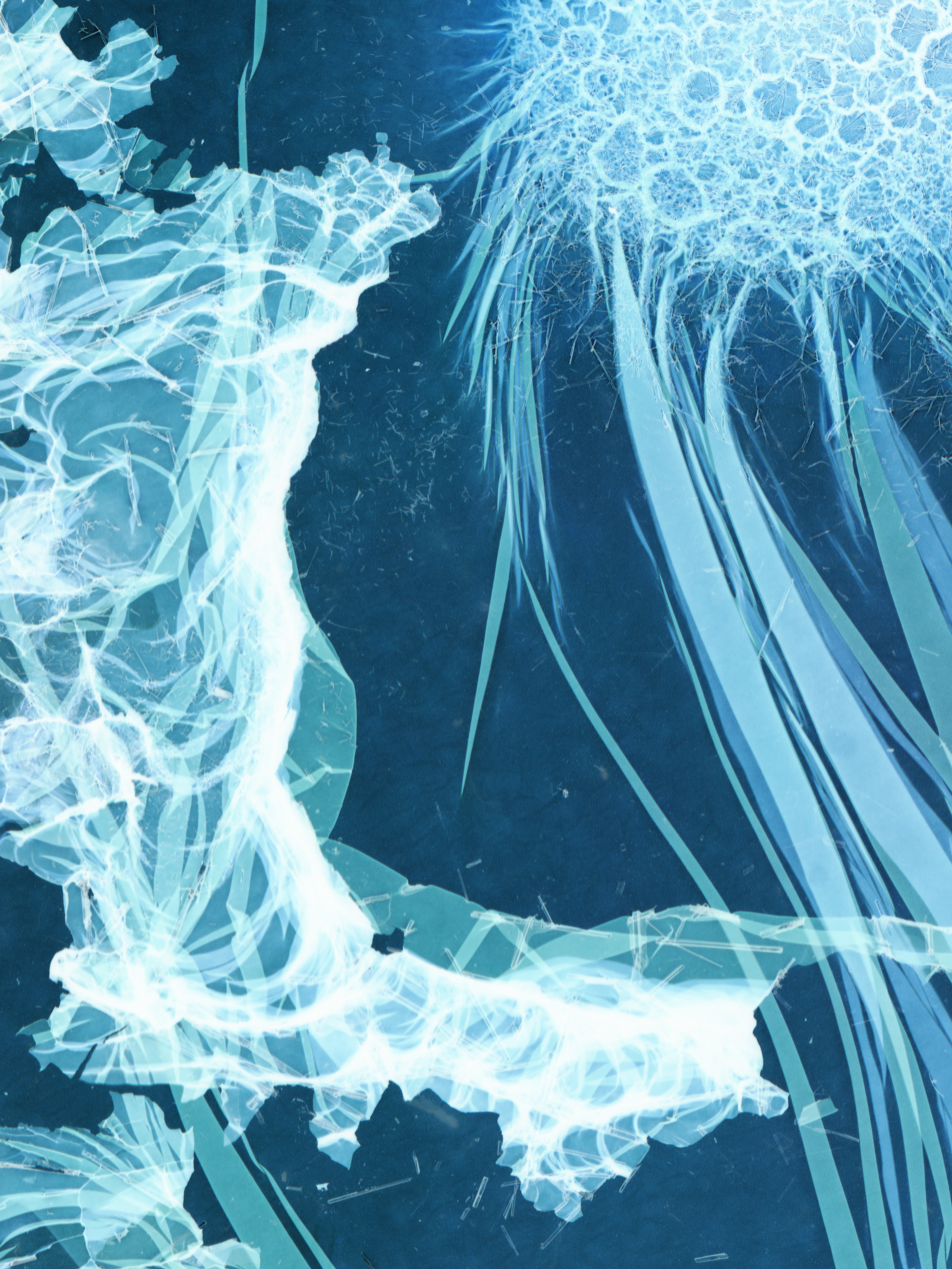 IlfordHp5E#09, Print auf Photo Rag, 30 x 40 cm, 2024