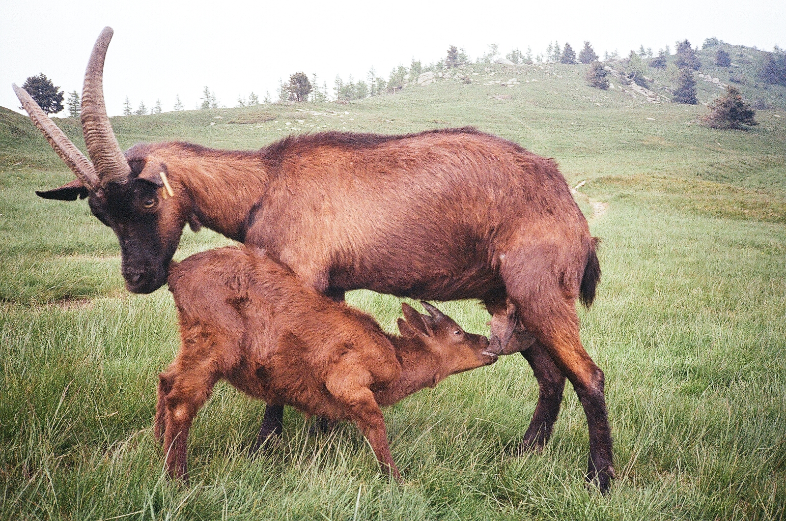 I never went anywhere