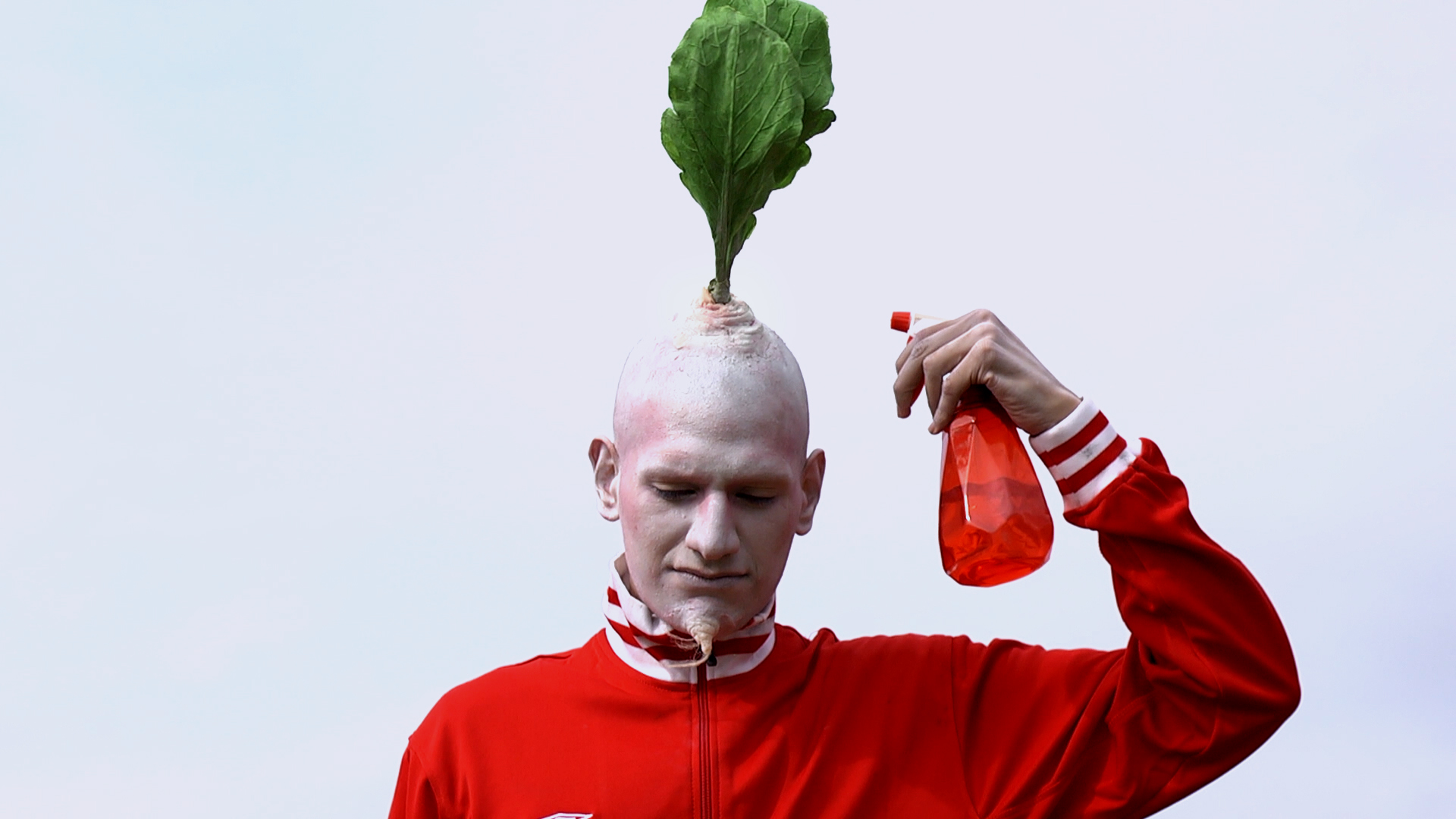 Radish, HD Video, 2013
