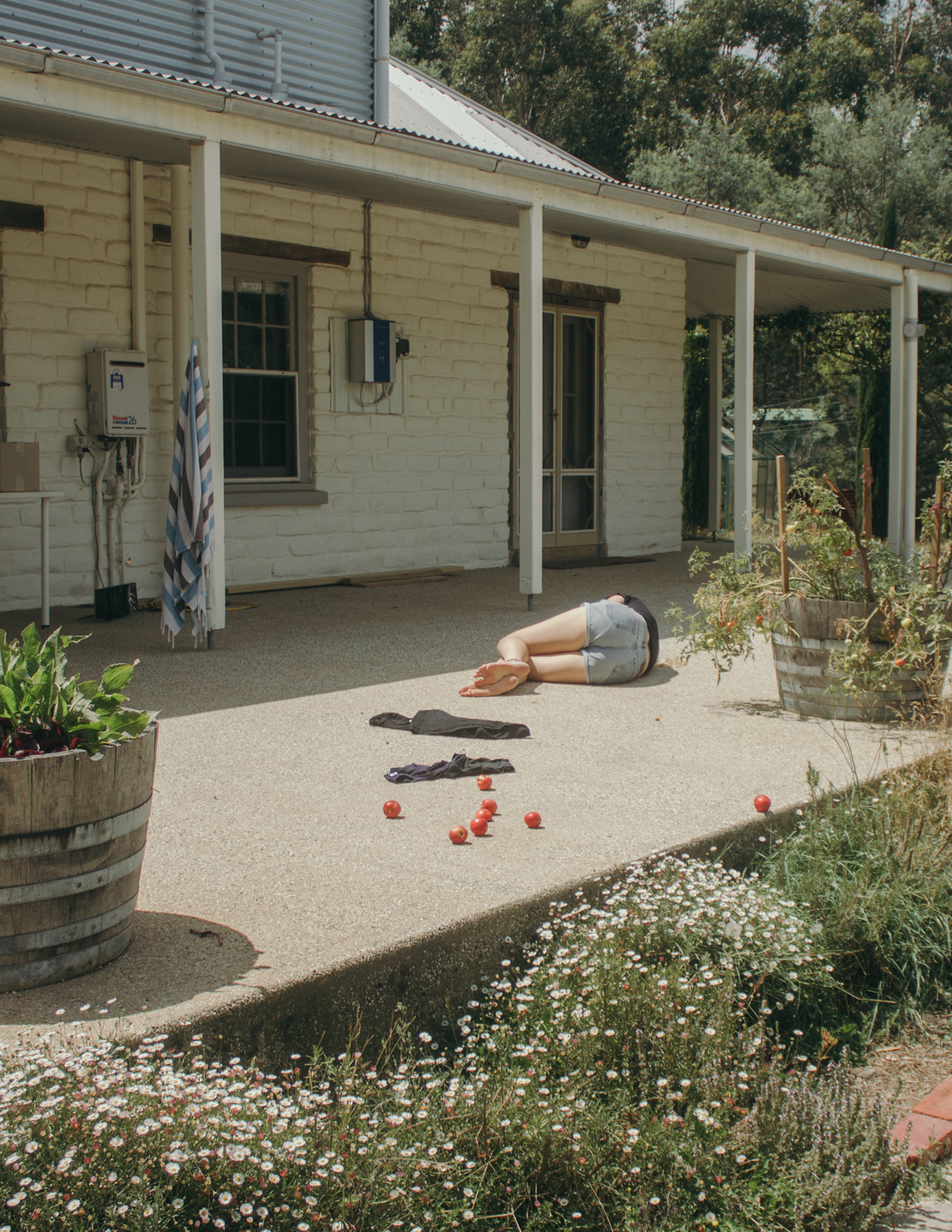 Sarah in the sun, from the journal: Where the rays of sun hit in the morning (2017-2018)