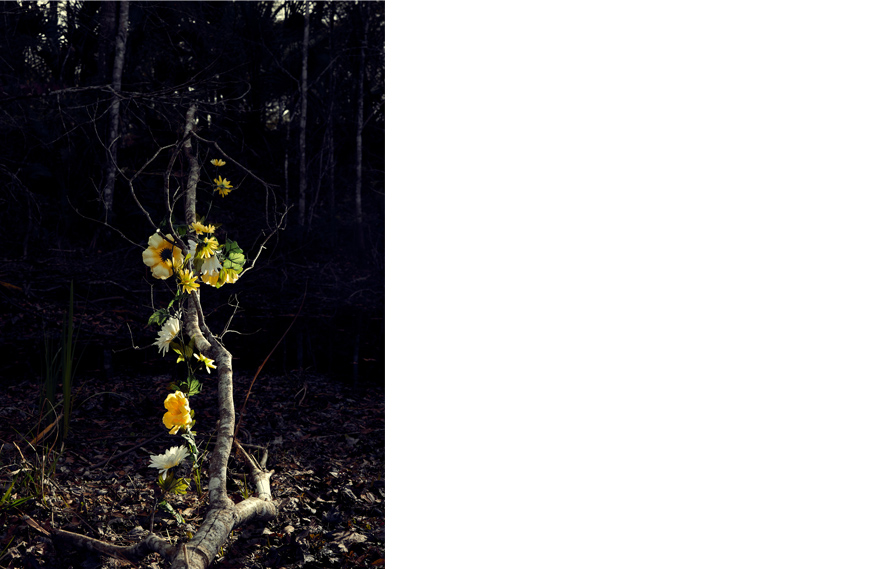 Ikebana 8486, Transculturation Series, 2020. Archival pigment print on matte acid free photo paper, 35 x 24 inches.