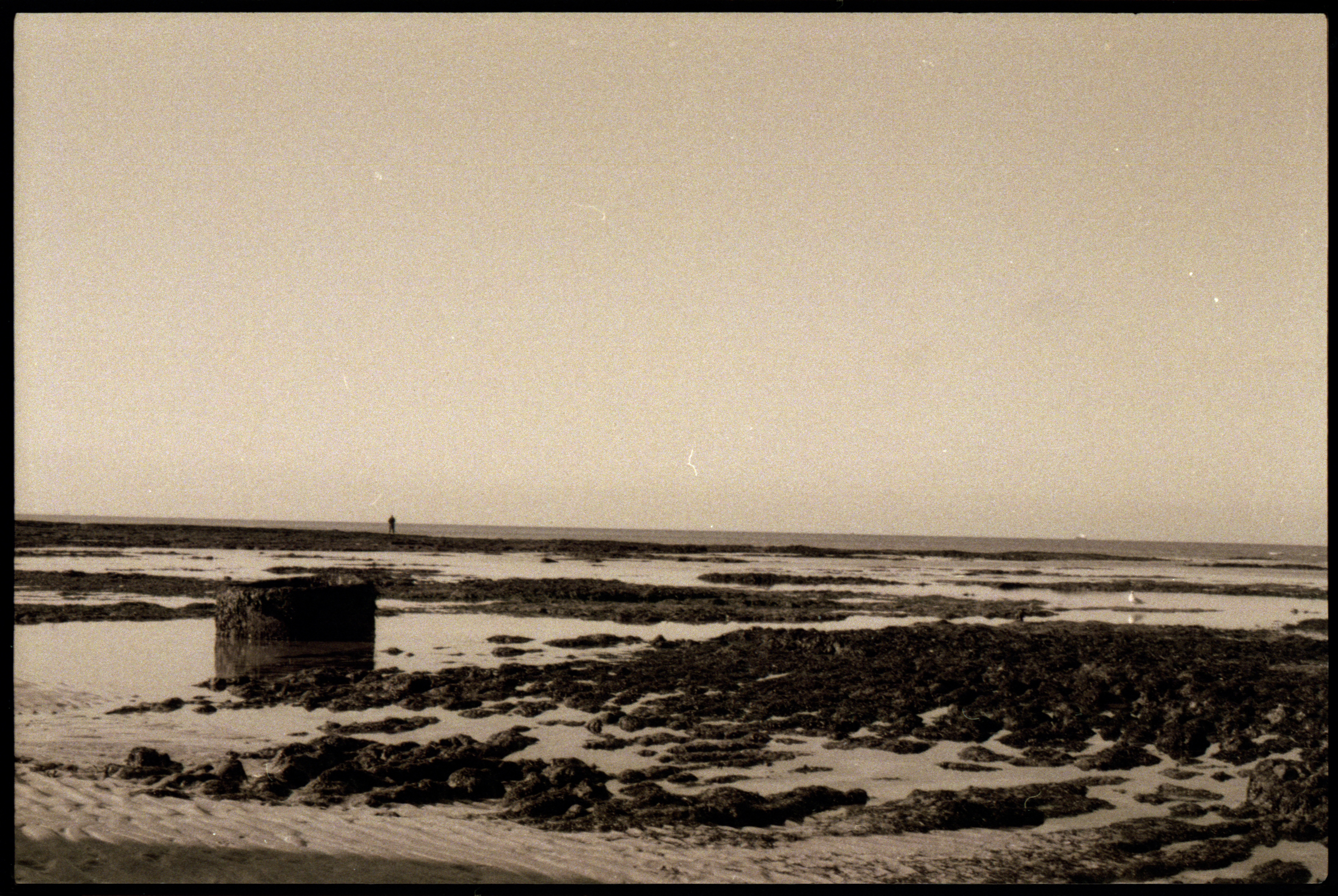 Riding For a Fall (2021)