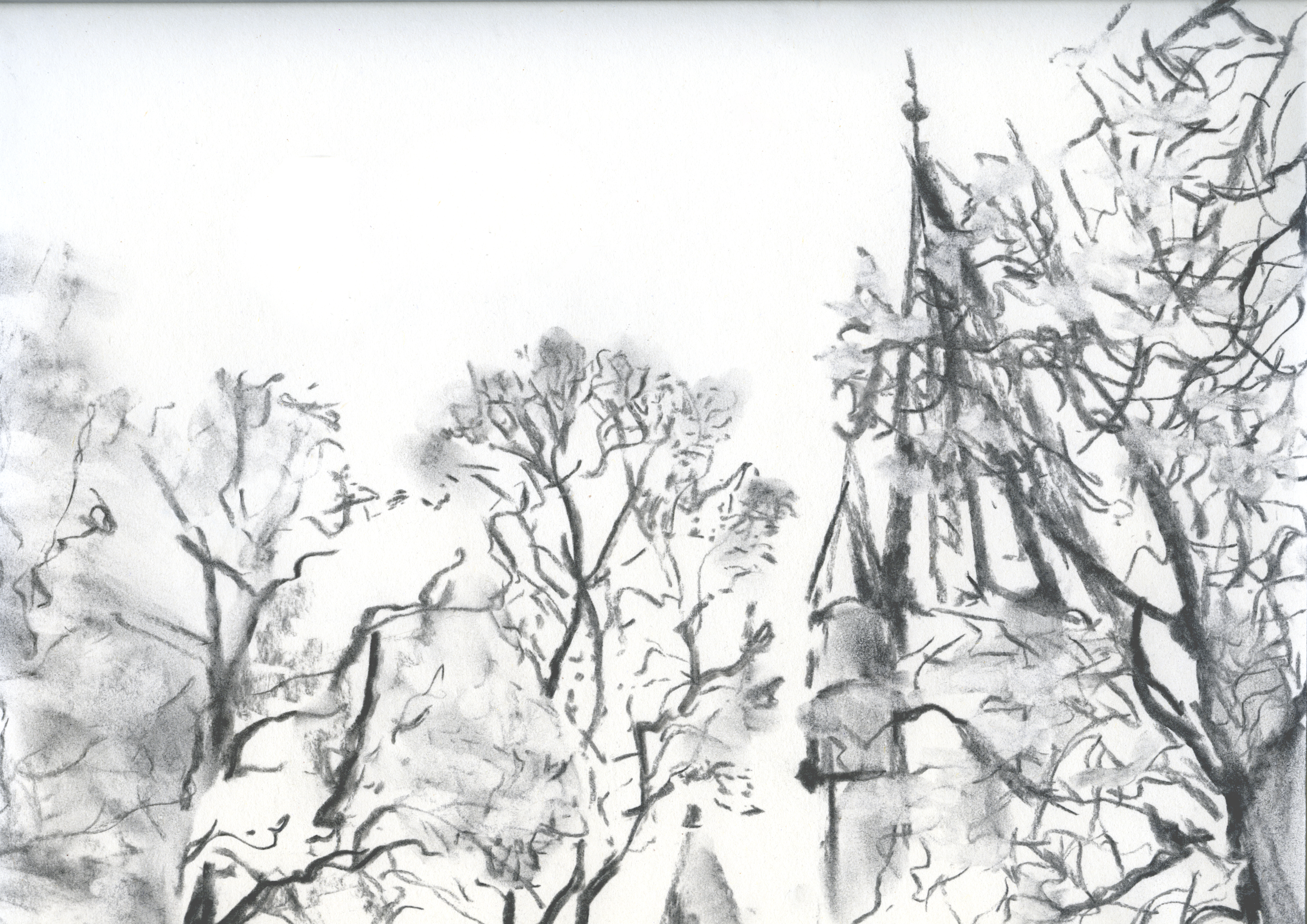Charcoal on paper, 298 x 420 mm, 2020