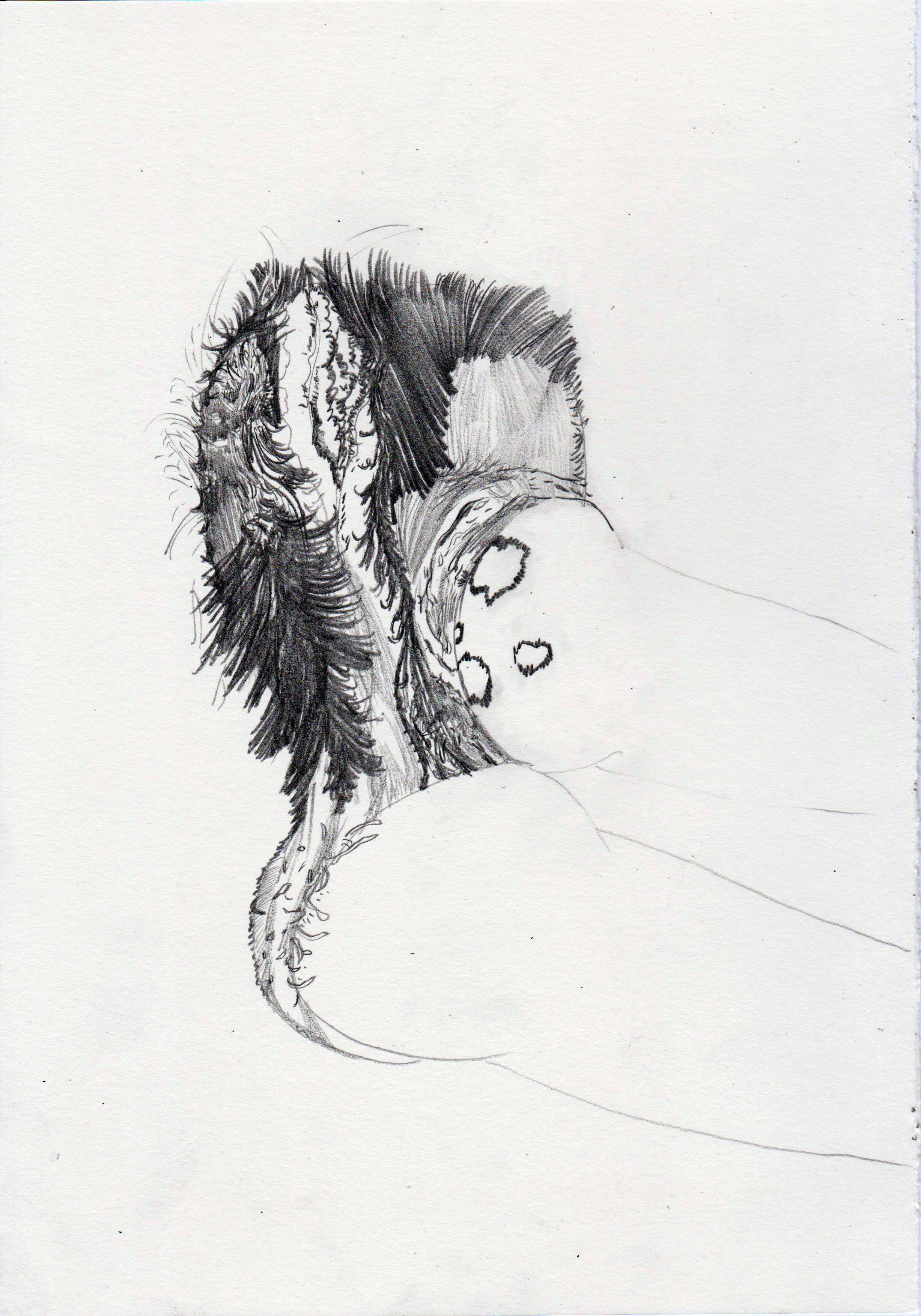 "Untitled", 2017. Pencil on paper, 29,7 x 21 cm