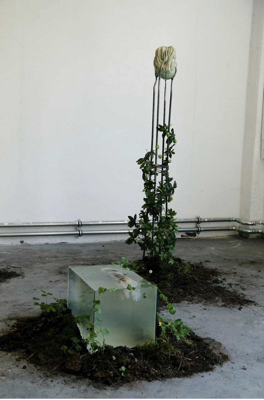 SARAH FOKKE the watery body