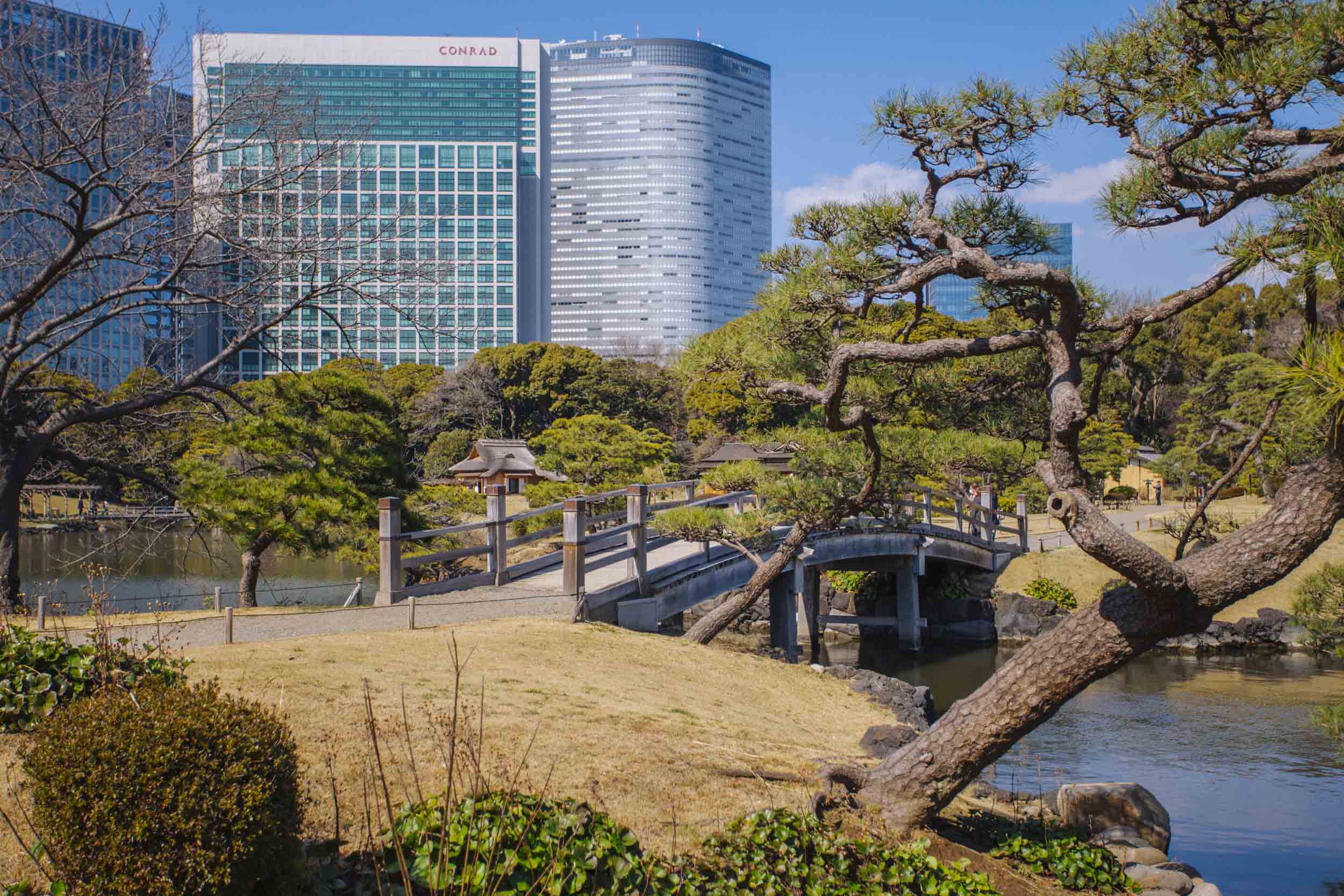 Hama Rikyu Garden And Tea House Shiodome When In Tokyo Tokyo S Art Design And Architecture Guide