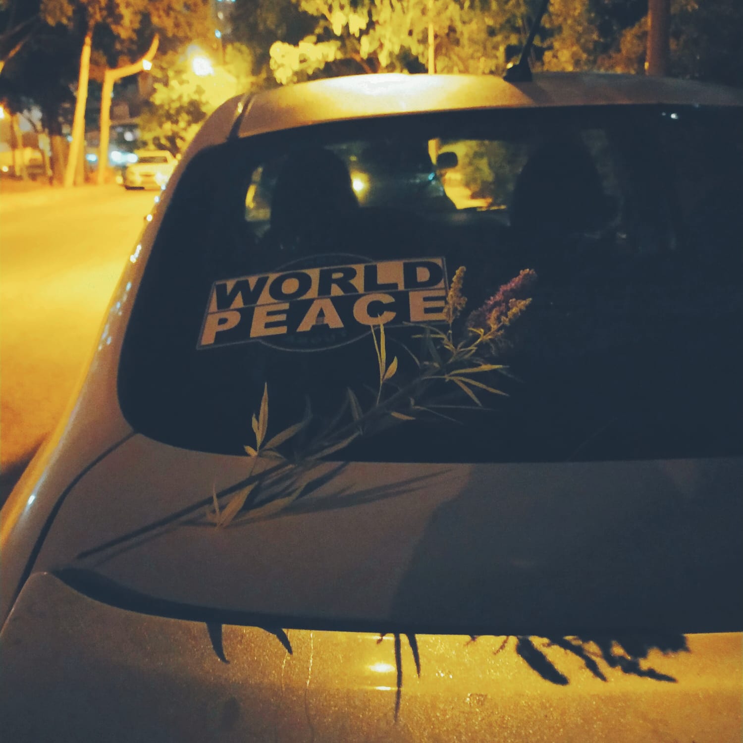 carsticker tel aviv