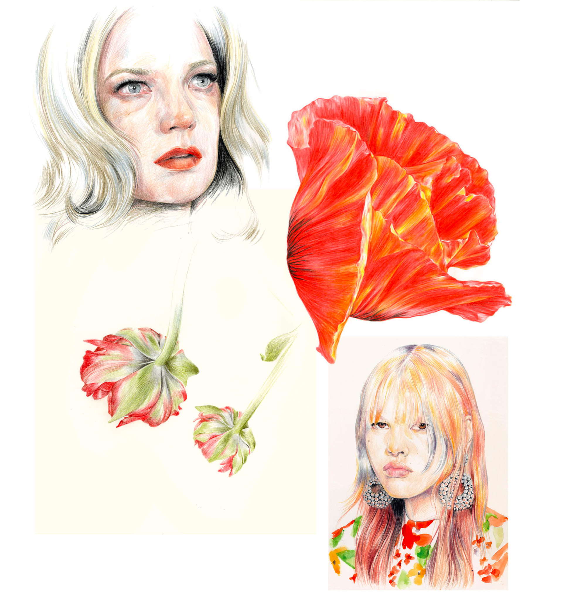 Botanical drawing, fashion illustration, portraits — Caroline Andrieu