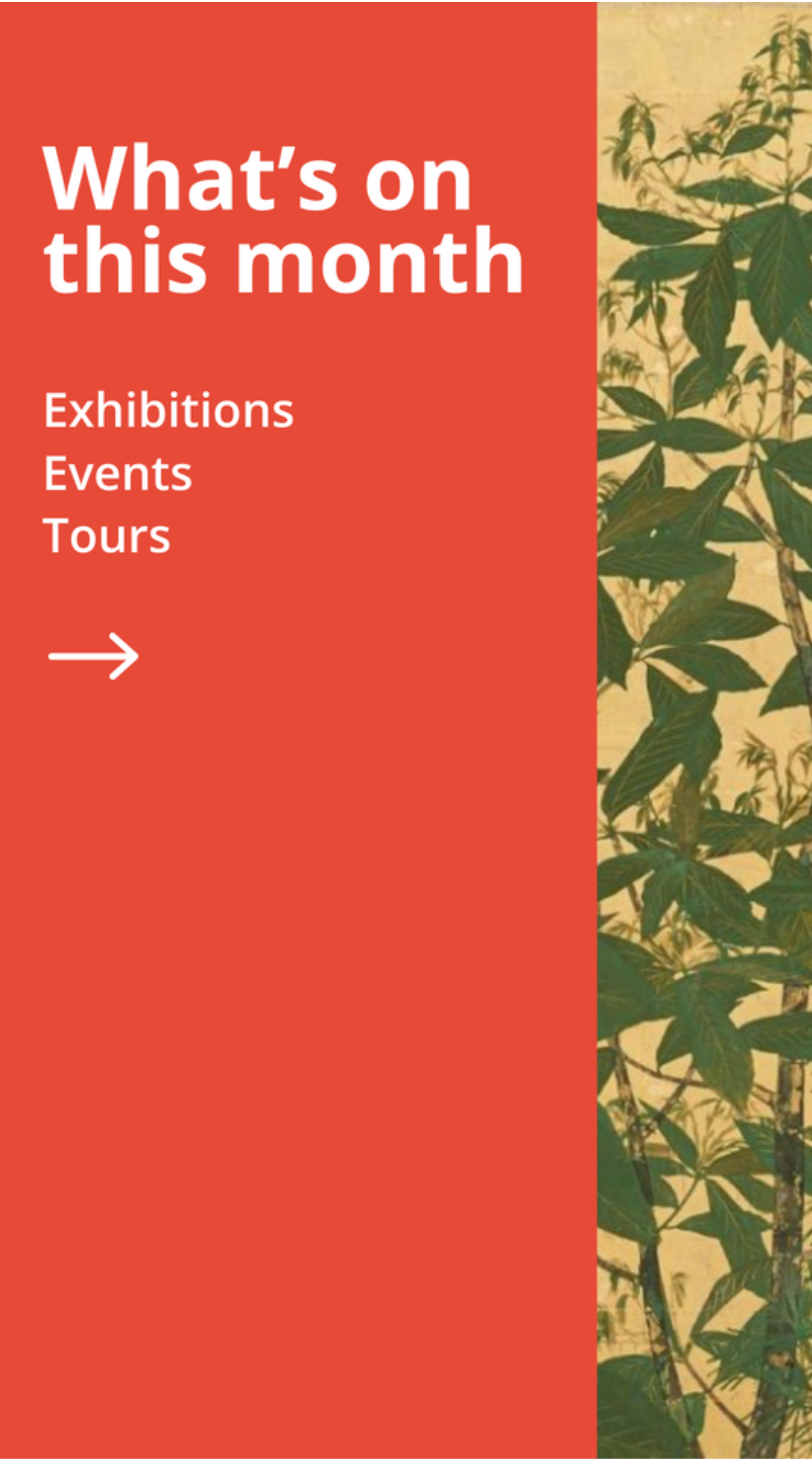 Instagram Story Template