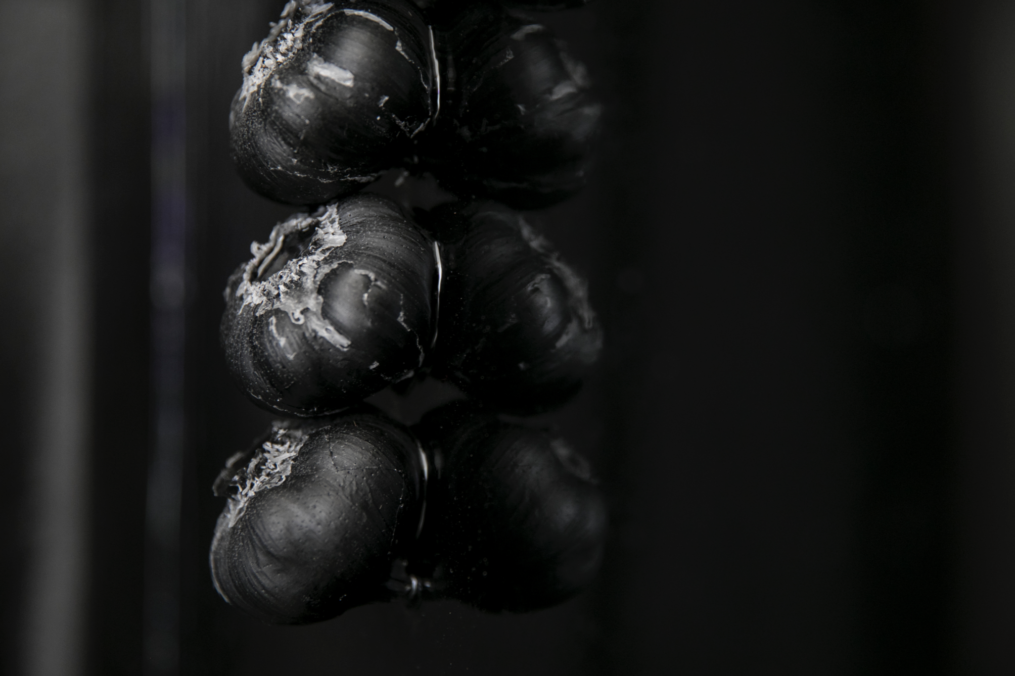 'Protective Sign', black resin, 59.4 x 42 cm. Photography by Aaron CV Rees