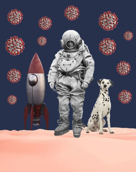 choose collage 🇵🇹