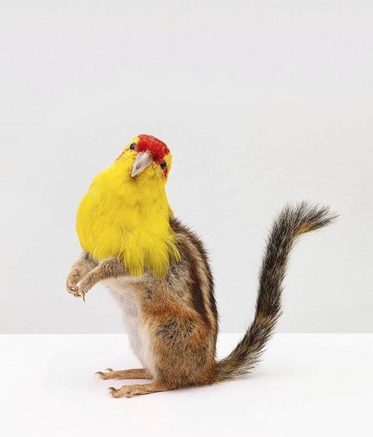 THOMAS GRÜNFELD - Misfit, 2005