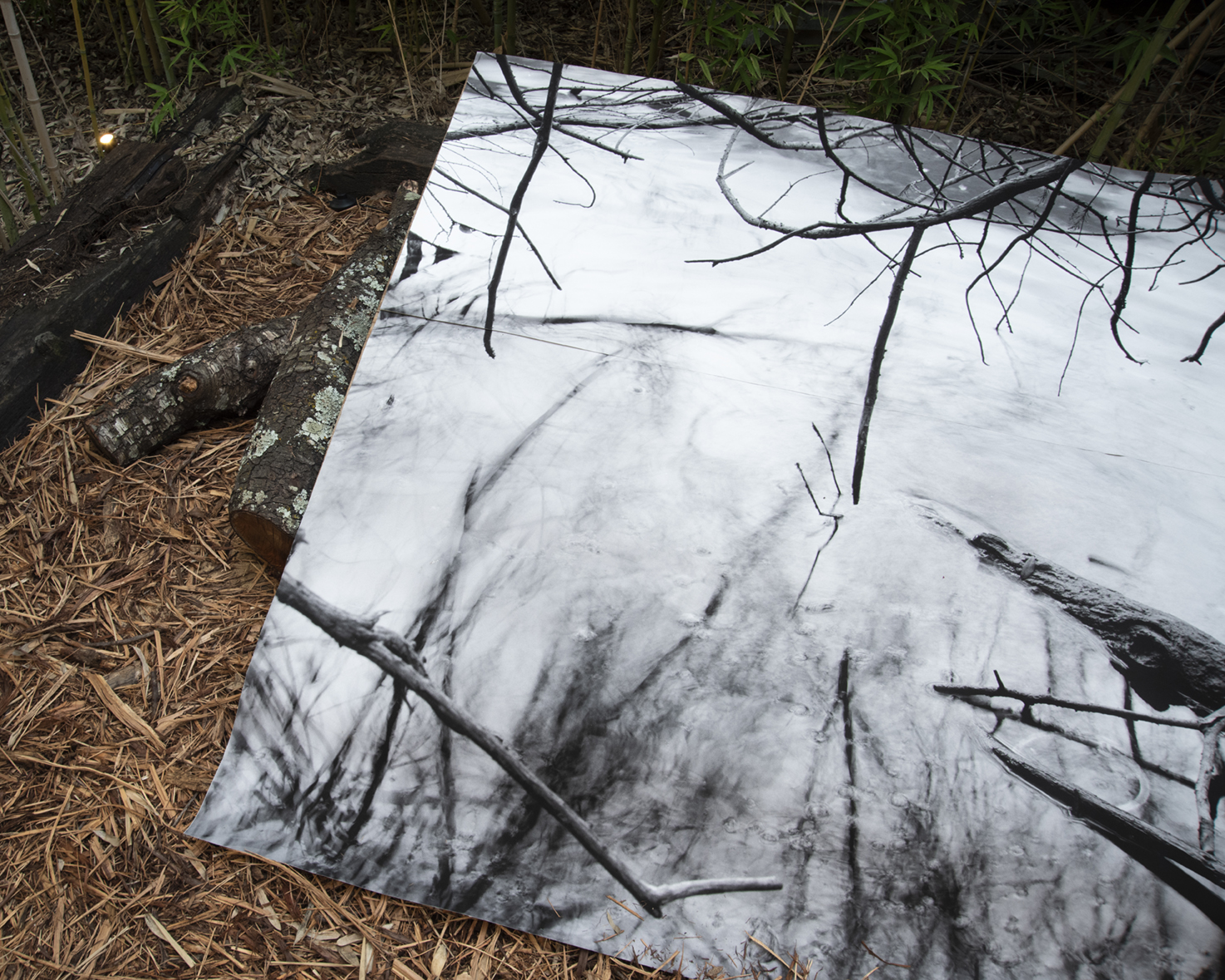 The Remaining Time works by Helen Jones and Ania Safko, Shed-Shows, Austin, Texas, May 2023.