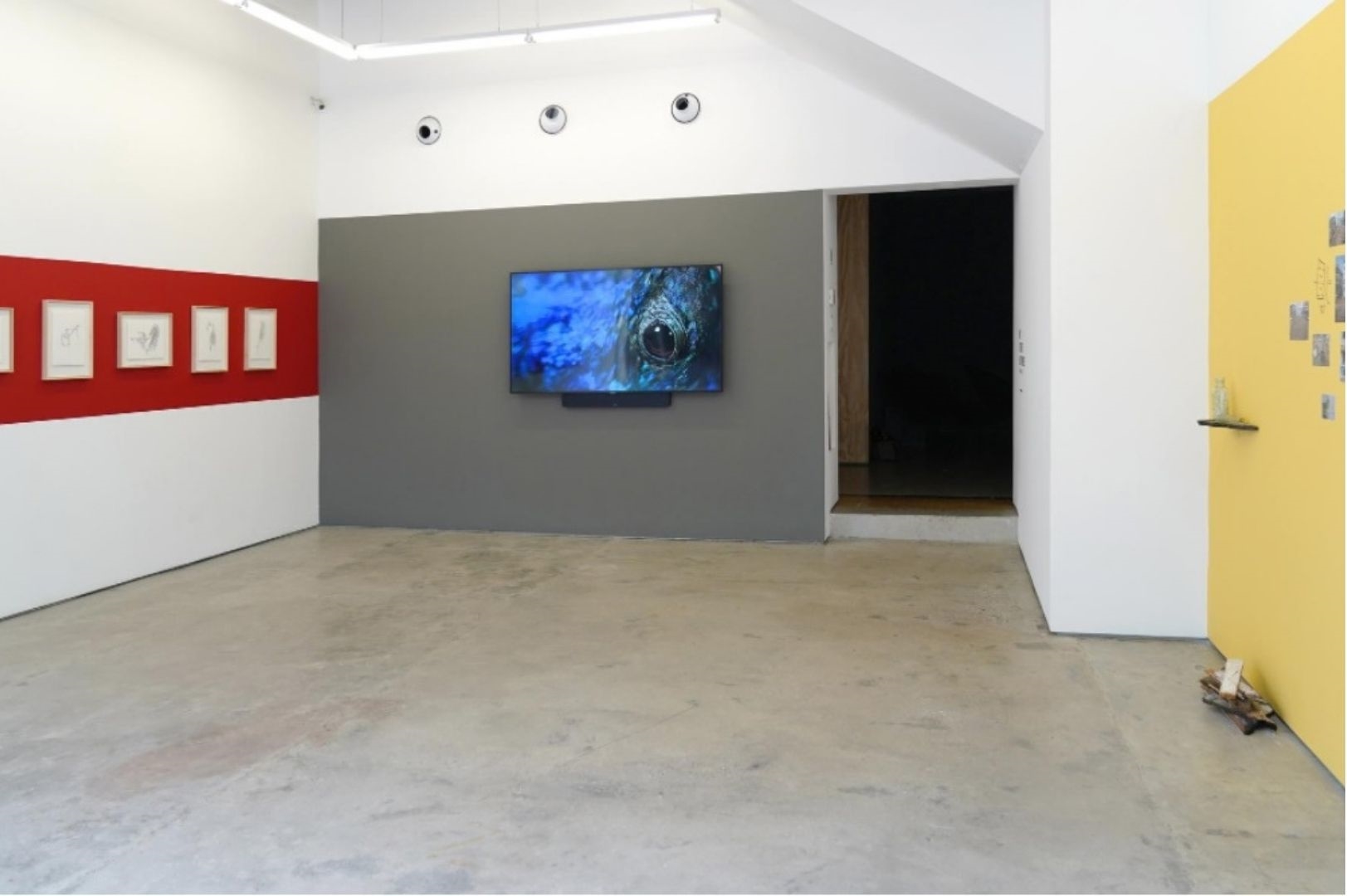 DONNA CONLON : No Stone Unturned : Curated by Jen Hoffmann