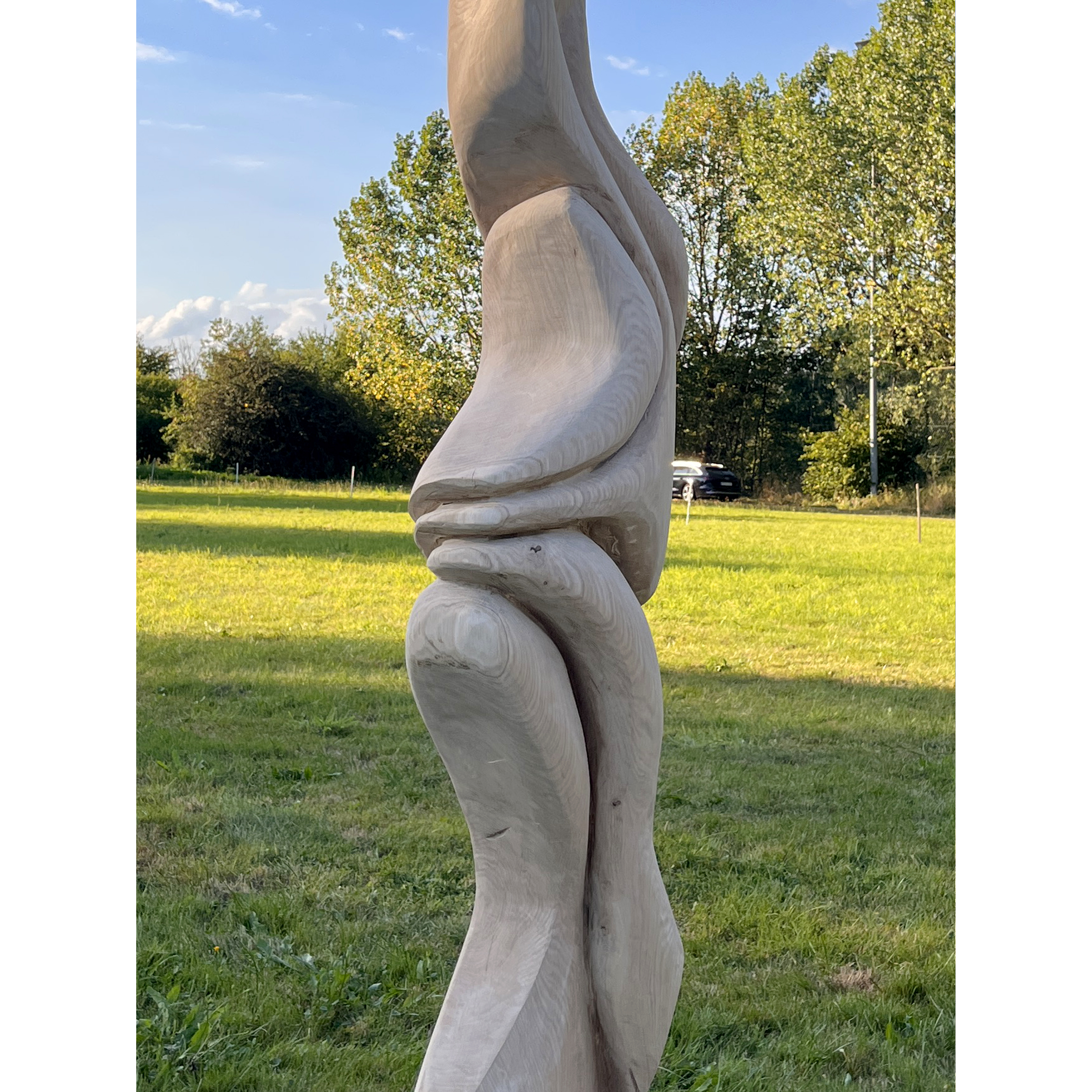 2025/Form in Flux/Wood