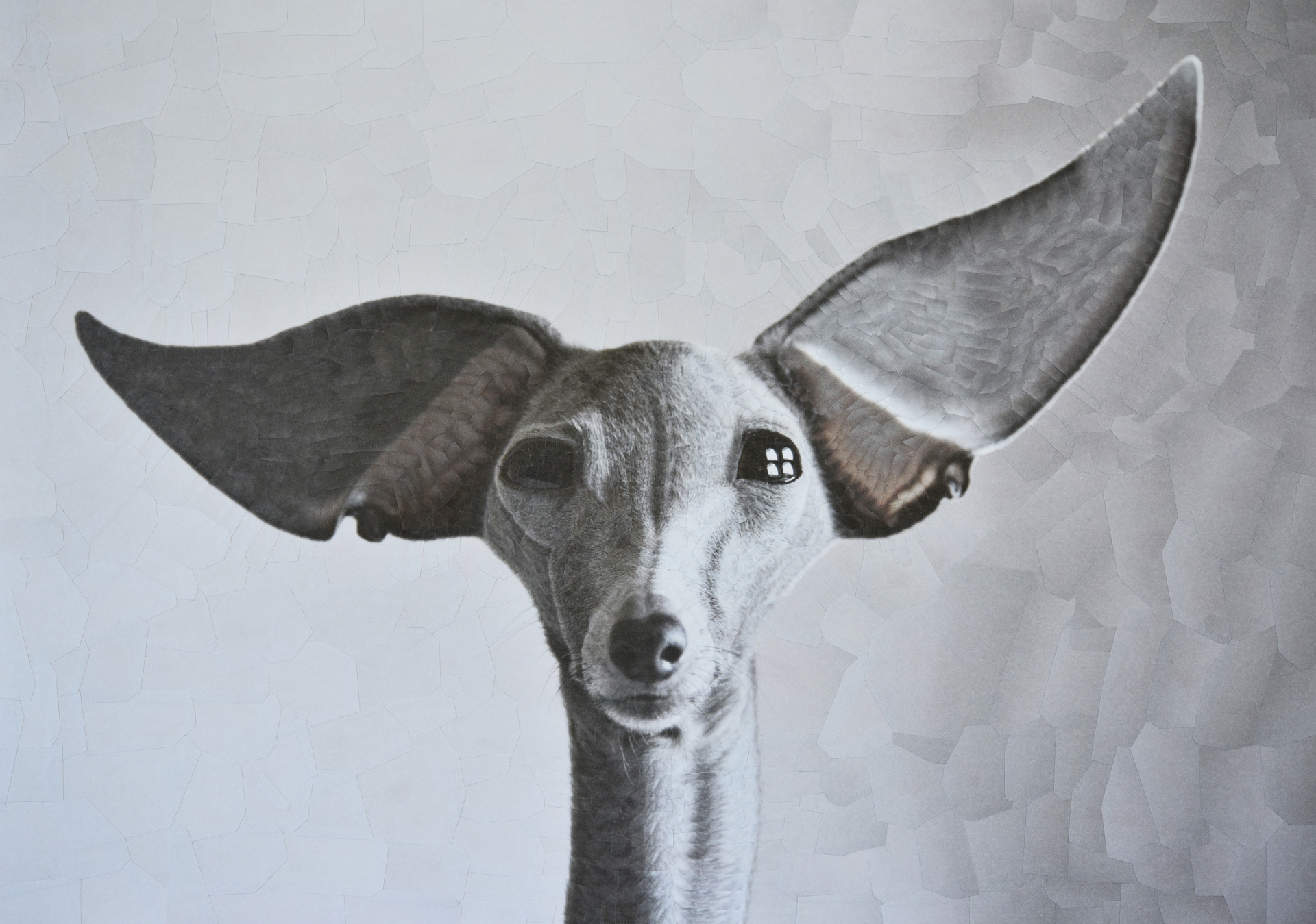 Dora, 2018, 16.5 x 11.5 inches