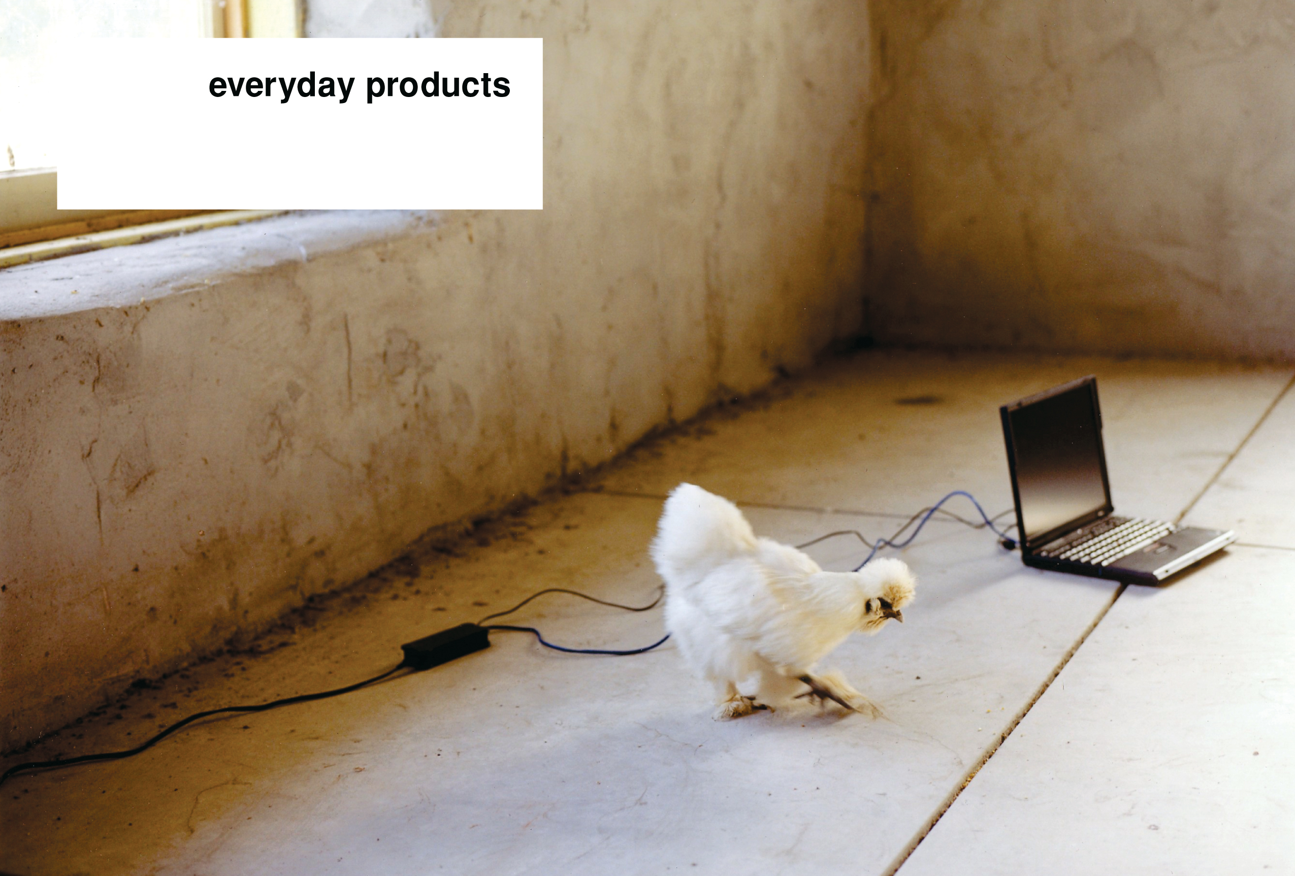 Everyday IBM: Global Brand Book, inside spread.